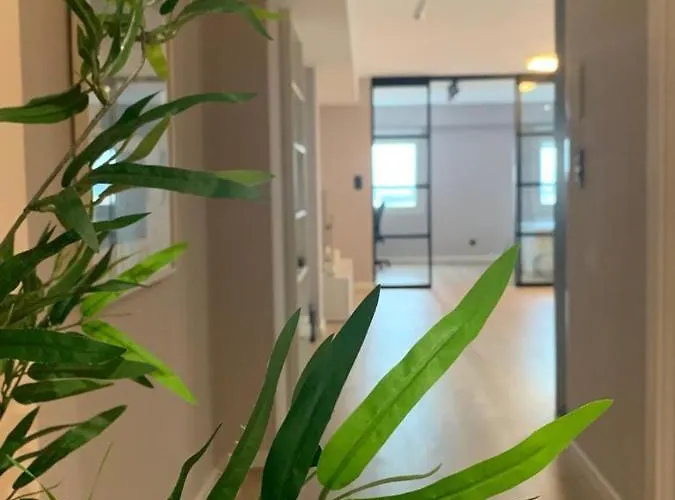 Espectacular Loft Lleno De Luz Y Espacio!